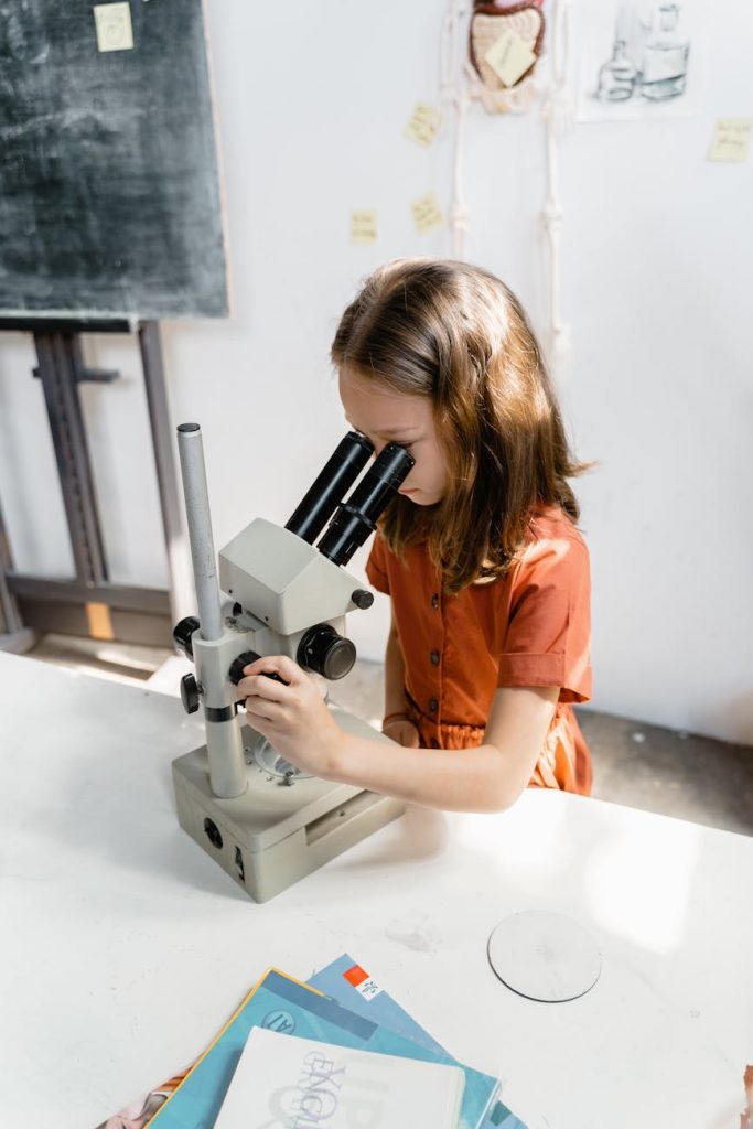 ADHD girls, intelligence and executive function